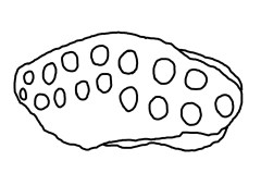 Knowth Kerbstone 42 Sketch