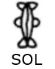 Sol glyph Symbol from Hittite Hieroglyphs called Sol or the Sun